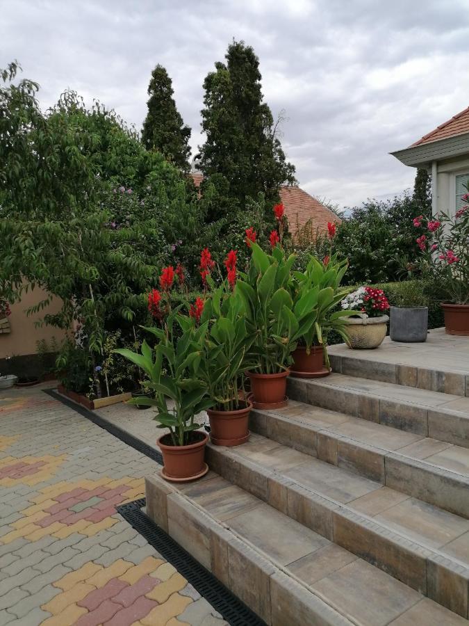 Kaktuszvirag Apartmanhaz Hajdúszoboszló Exterior foto