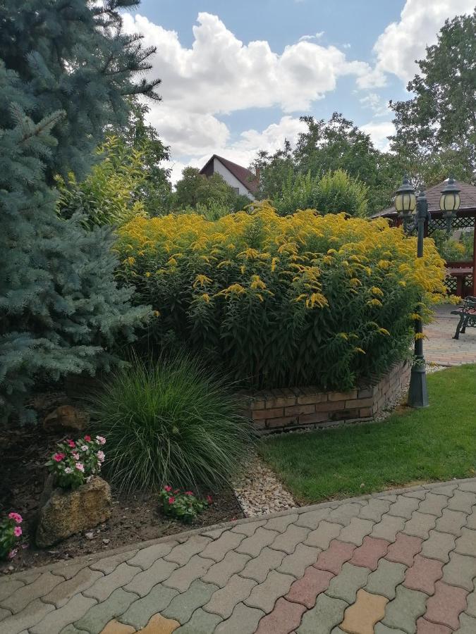 Kaktuszvirag Apartmanhaz Hajdúszoboszló Exterior foto