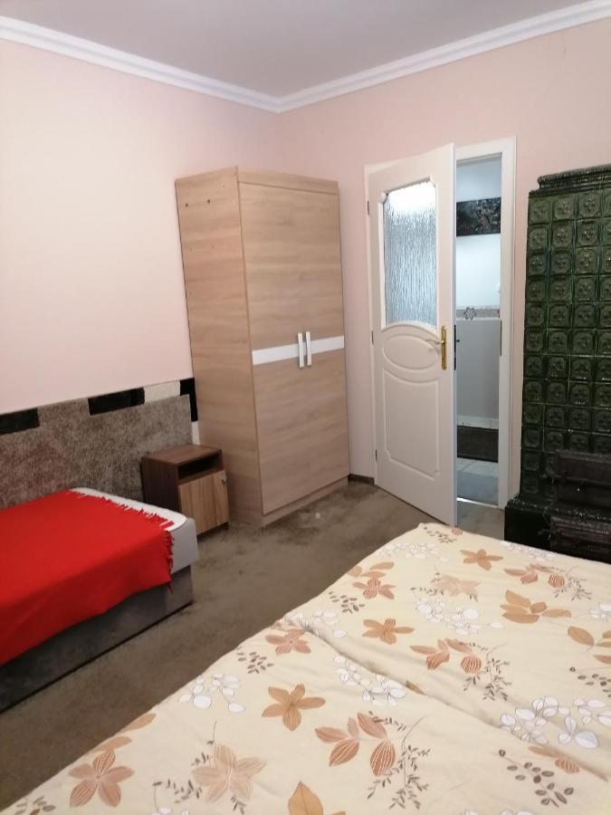 Kaktuszvirag Apartmanhaz Hajdúszoboszló Exterior foto